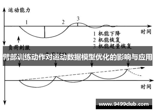 臂部训练动作对运动数据模型优化的影响与应用