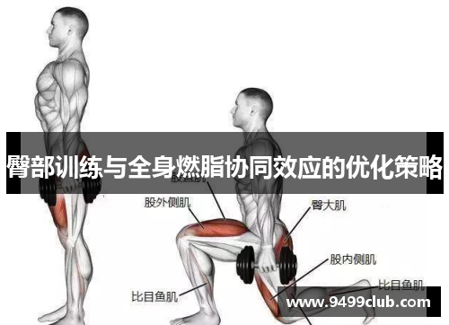 臀部训练与全身燃脂协同效应的优化策略